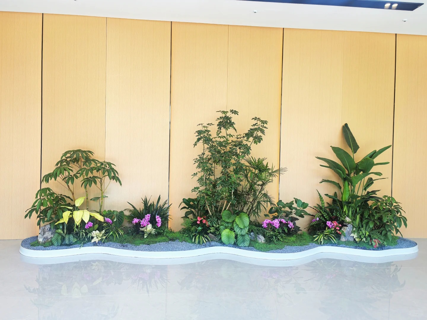 专业北仑花卉出租，让空间瞬间绽放别样生机